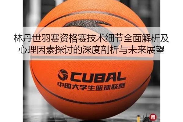林丹世羽赛资格赛技术细节全面解析及心理因素探讨的深度剖析与未来展望