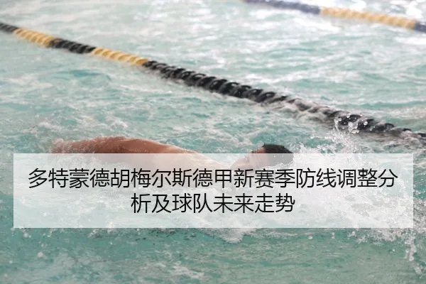 多特蒙德胡梅尔斯德甲新赛季防线调整分析及球队未来走势